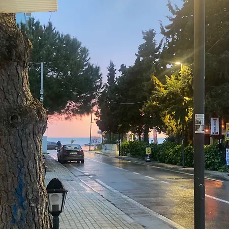 Elmare * Durrës